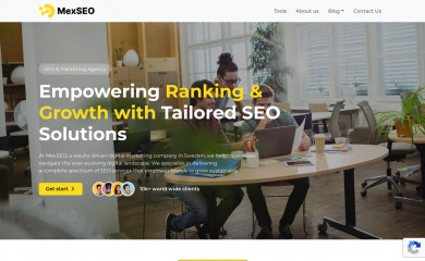 mexseo.info screenshot