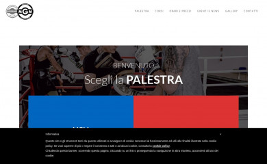 mgmboxeisland.com screenshot