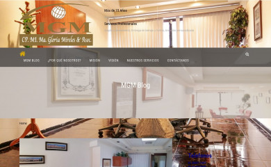 mgmconsultores.com.mx screenshot