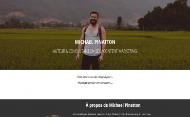 michaelpinatton.com screenshot