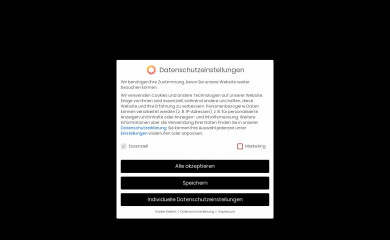 michelliconvalley.com screenshot