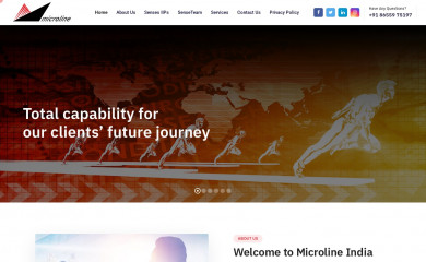 microlineindia.com screenshot