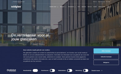 midglas.nl screenshot