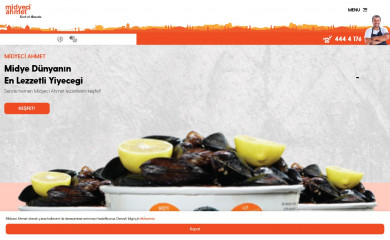midyeciahmet.com screenshot