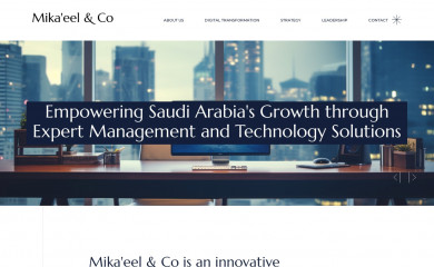 mikaeelco.com screenshot