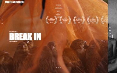 mikelaristregi.com screenshot