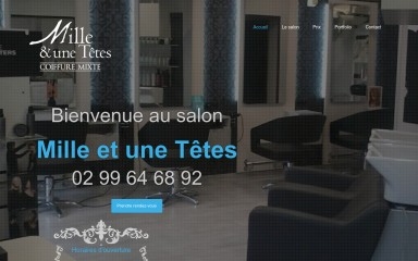 milleetunetetes.fr screenshot