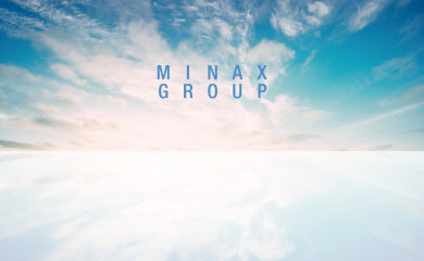 minaxs.co.jp screenshot