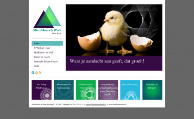 mindfulnessinwerk.nl screenshot