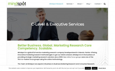 mindspot.com screenshot