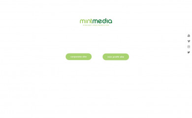 mintmediallc.com screenshot