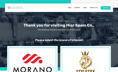 misrspain.com screenshot
