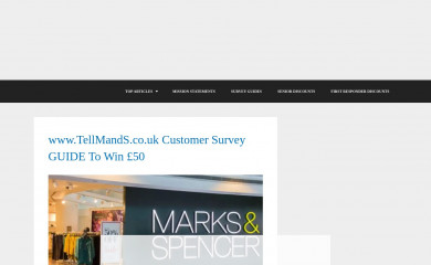 mission-statement.com screenshot