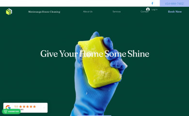 mississaugahousecleaning.ca screenshot