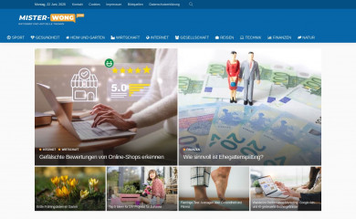 mister-wong.com screenshot