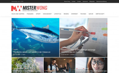 mister-wong.de screenshot