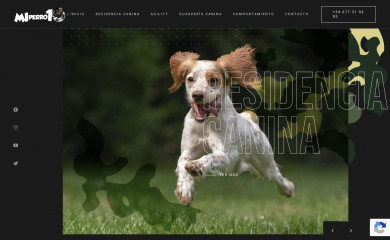 miperro10.es screenshot