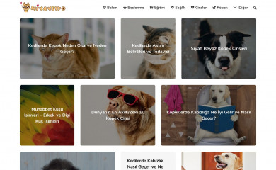 miyavliyo.com screenshot