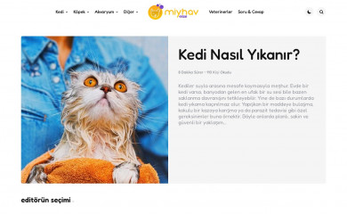 miyhav.com screenshot