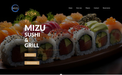 mizukampen.nl screenshot