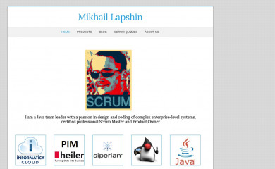 mlapshin.com screenshot