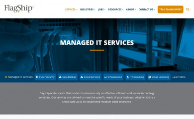 mlstg.com screenshot