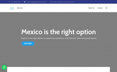 mmsmex.com screenshot