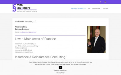 mnslawandmore.com screenshot