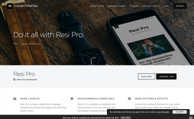 https://modernthemes.net/wordpress-themes/resi-pro/ screenshot