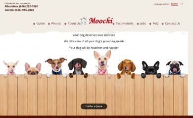 moochidogsalon.com screenshot