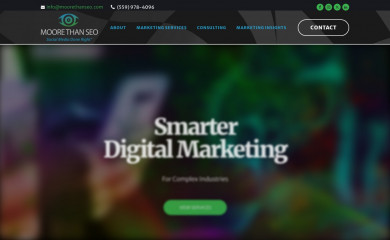moorethanseo.com screenshot