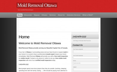 moldremovalottawa.com screenshot
