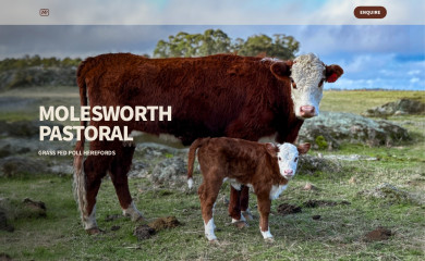 molesworthpastoral.com.au screenshot