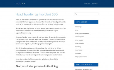 molina.dk screenshot