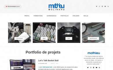 molina.ro screenshot