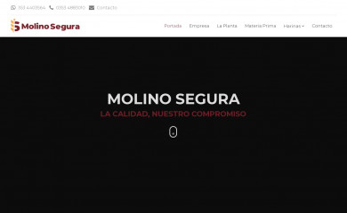molinosegura.com.ar screenshot