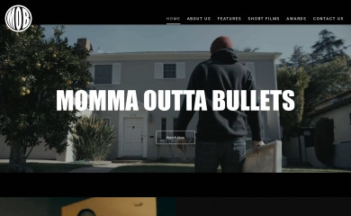 mommaouttabullets.com screenshot