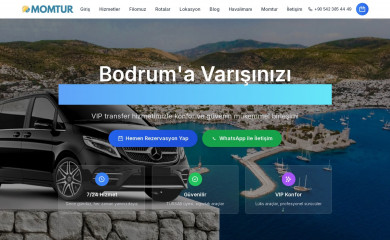 momtur.com screenshot