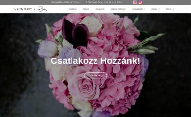 mondjigent.com screenshot