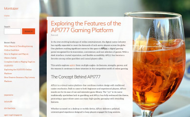 monitaizer.com screenshot