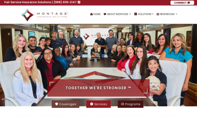 montageinsurance.com screenshot