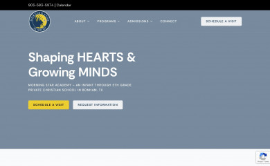 morningstarlions.org screenshot