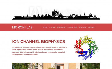 moronilab.com screenshot