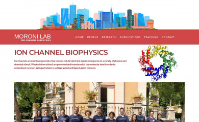 moronilab.com screenshot