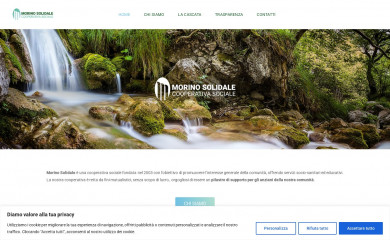 morinosolidale.it screenshot