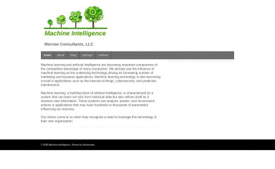 morrowconsultants.com screenshot