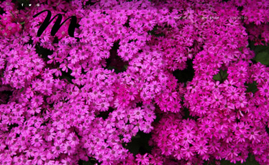 mprint.co.nz screenshot