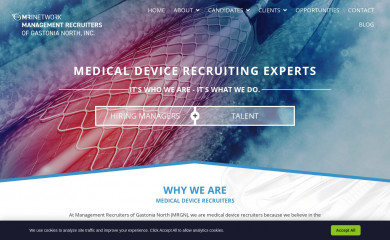 mrgastonia.com screenshot