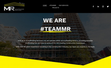 mrscaffolding.com screenshot
