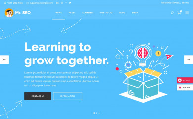 https://mrseo.qodeinteractive.com/ screenshot